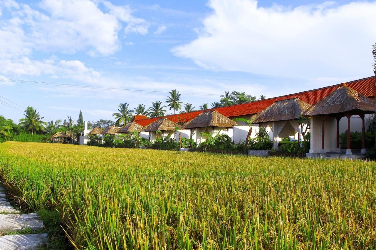 Alam Puisi Villa Ubud Luaran gambar